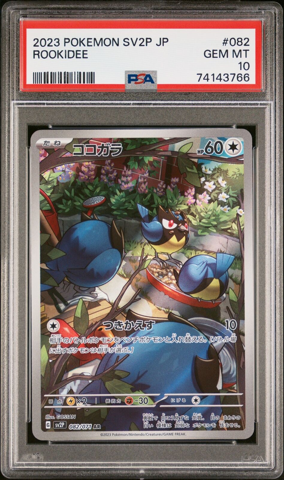 PSA 10 GEM MINT JAPANESE POKEMON 2023 ROOKIDEE 082/071 SNOW HAZARD SV2P