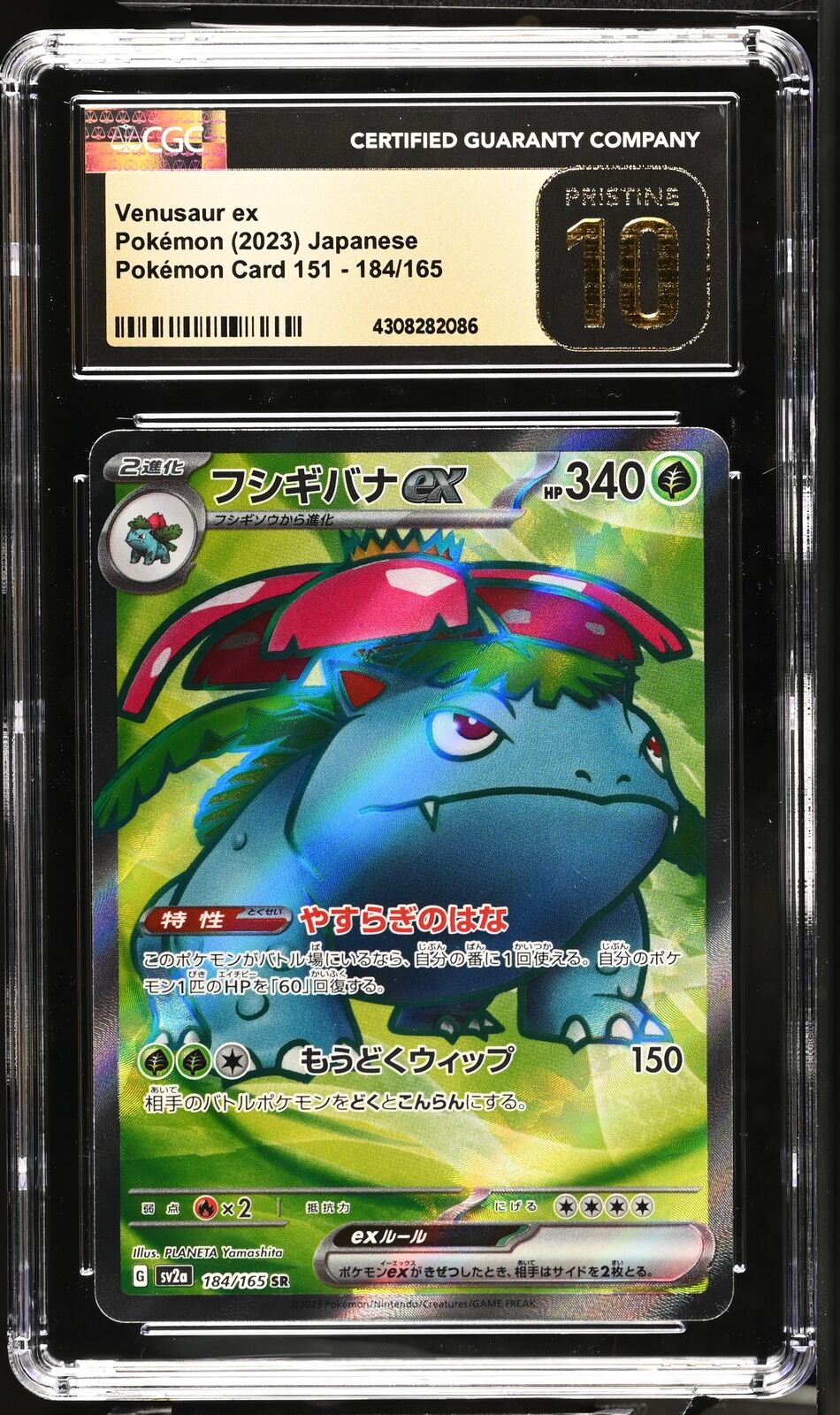 CGC 10 PRISTINE Japanese Pokemon 2023 Venusaur ex Pokemon 151 184/165 Sv2a